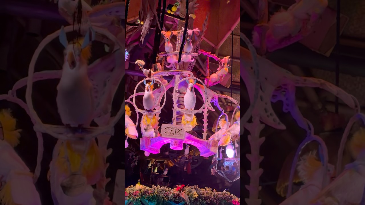 #ディズニーランド #ファンタジースプリングス