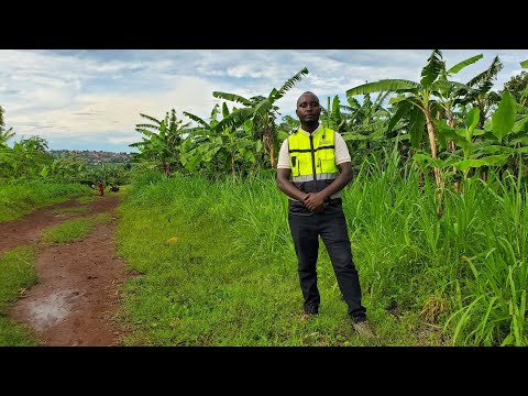 #KAYONZA SURE DEAL Y,ISAMBU  NZIZA  BYE  #MILLIONS 11 GUSA #UBUSO 3,466Sqm 2KM UVUYE KURI KABURIMBO 