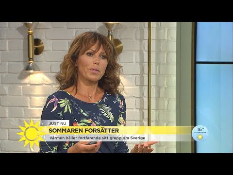 Väderprognos: värmen kan göra comeback  - Nyhetsmorgon (TV4)