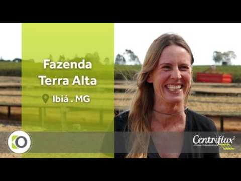 Fazenda Terra Alta