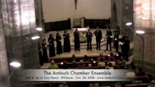 With a Lily in Your Hand - Antioch Chamber Ensemble