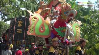 Download lagu Wedang Putih  / Singa Dangdu PUTRA PAI MUDA / -  Khitanan.Rayyan  Rasulan: ines mp3