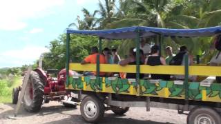 preview picture of video 'Stone Island Mazatlan Mexico Isla de la Piedra Limo'