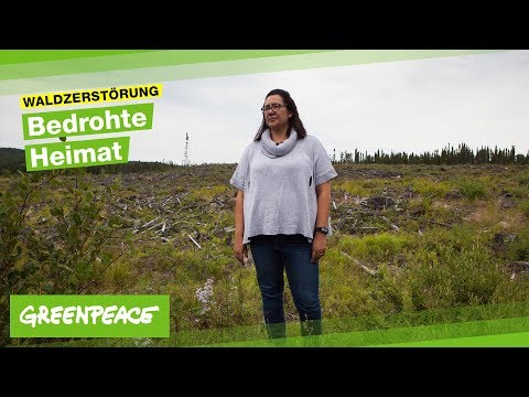 Video-Thumbnail von YouTube