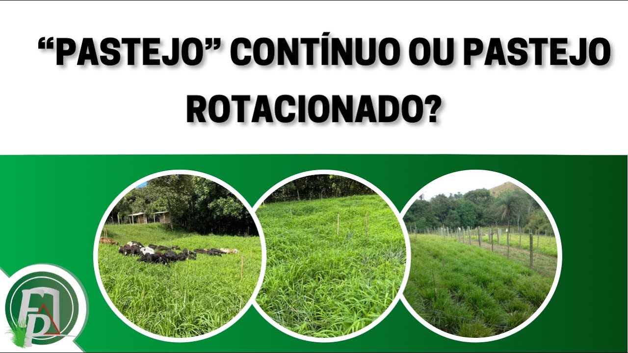 “PASTEJO” CONTÍNUO OU PASTEJO ROTACIONADO?