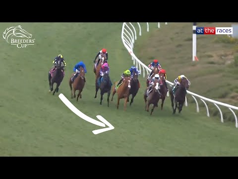 2024/11/3(日) ブリーダーズカップマイル(G1)