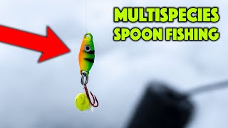 This Spoon Paid Off! [Multispecies Ice Fishing]