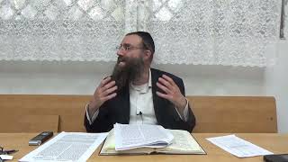 משא ומתן בהבנת השפת אמת ומהלך מחודש מהתורת חכם | שער אבא ואמא פ"ג 9 | הרב סיבוני | אוצ"ח המבואר 195