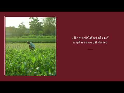 คลิกเพื่อดูคลิปวิดีโอ