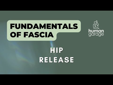 Fundamentals of Fascia: 16 Hip Release