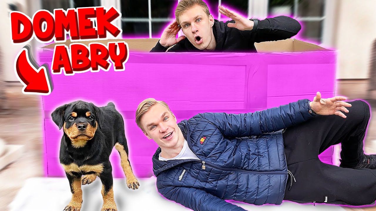 ZBUDOWALIŚMY DOM z KARTONU dla ABRY! 🐕 +reakcja psa