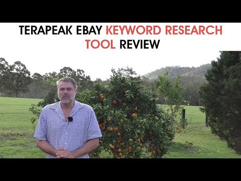 Terapeak eBay Keyword Research Tool Review