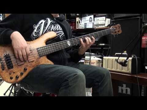 Yamaha THR 10 Test German