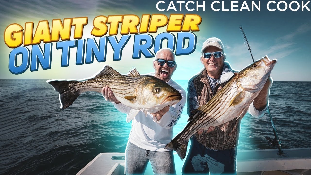 Giant Stripe Bass on TINY Rod! Catch Clean Cook Prosciutto Wrapped Sea Bass