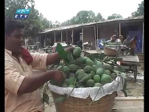 ক্রেতা সঙ্কটে আমের রাজধানী