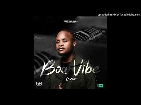 Binéx - Boa Vibe (Artistico Music)