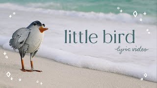 little bird // lyric video 🪶