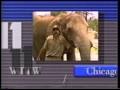 WTTW PBS 11 Don T Forget Bumper 1989