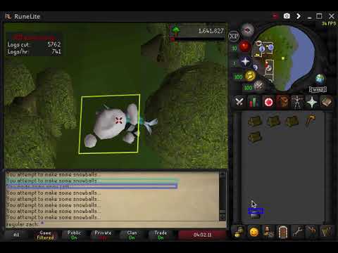 3t willows (about 85k/hr at level 99 woodcutting)