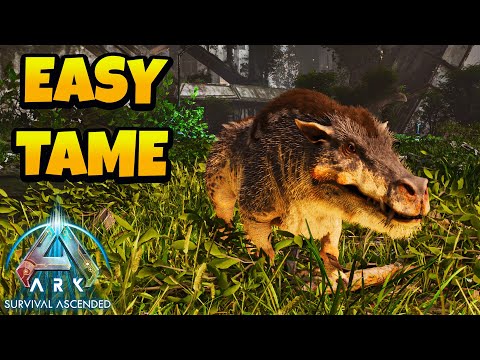 Easiest Way to Tame Daeodon in Ark