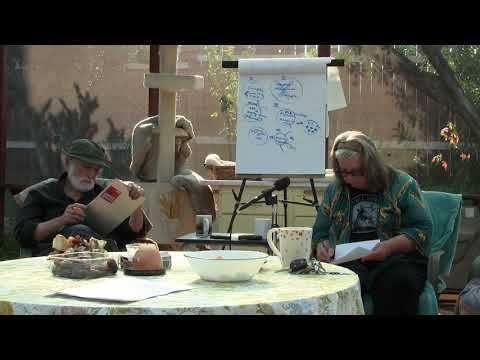 2018-11-10 NSSAT NSDRM - Dialogues with Regina, SteveD; Dream Exploration with JulieH