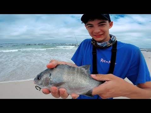 Galjoen Catches in Pearly Beach/Kob/Mulloway Fishing Strand Reefs