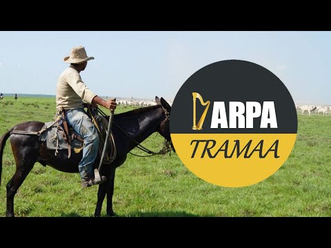 Rafael Volcán - Llanero Es Mi Gentilicio