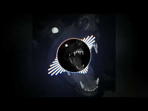 Tzanca Uraganu ft. Florin Salam - Regii NFT