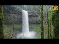 Lush Green 4K