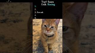 Download lagu Top 5 Suara unik kucing #kucing #kucingimut  #suarakucing #cute #ranking #cutecat mp3
