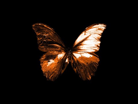 Mud Angel - Blacklit Canopy