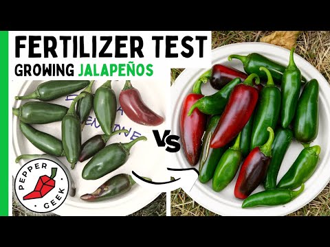 Testing 5 Different Fertilizers For Growing Peppers - Pepper Geek