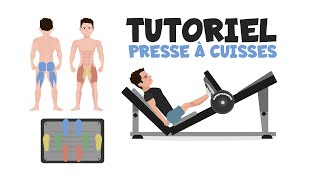 Presse à cuisses