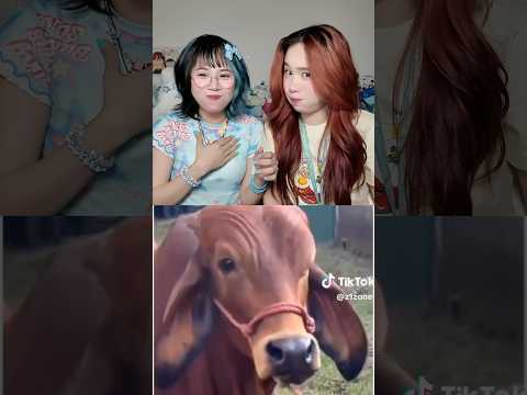 Challenge NO LAUGHING with Sim and Sam #meosimmy #shorts