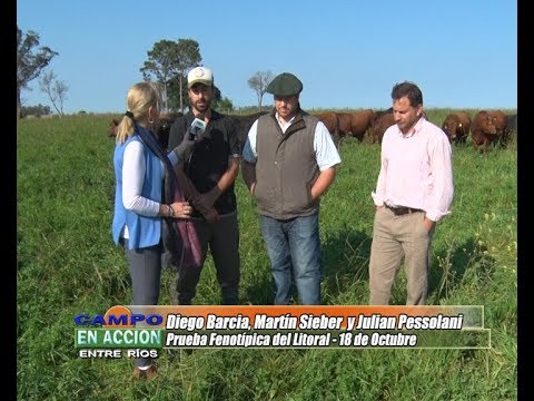 Diego Barcia, M. Sieber y J. Pessolani  - Prueba Fenotipica Pastoril del Litoral 2017