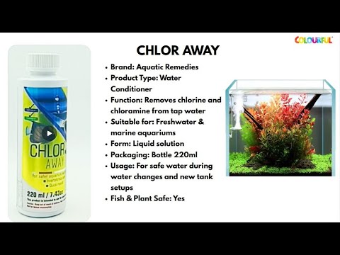 Removes Chlorine & Heavy Metals | Water Conditioner | Fish Tanks | Chlor Away 220ml #C1115