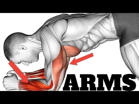 Do This 8 Best Arms Exercise Get Strong Arms At Home || No Equipment ||