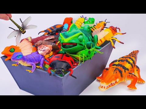 ZURU ROBO ALIVE COLLECTION | UNBOXING Robo Crocodile, RC Chameleon, RC Lizard Compilation ASMR