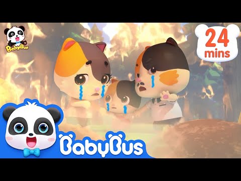 Baby Kitten's Daddy Got Injured in Forest Fire | Super Panda Rescue Team | Kids Song|BabyBus Cartoon