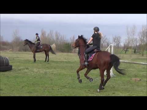 Cours de Cross du 27/02/17 Maorie & Pénalen / Elodie & Qangxi