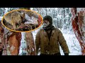 Wolf Pack Preyed On The Hunter's 11 Cattle; Cornered, The Hunter Had To Hunt Deer For Food!