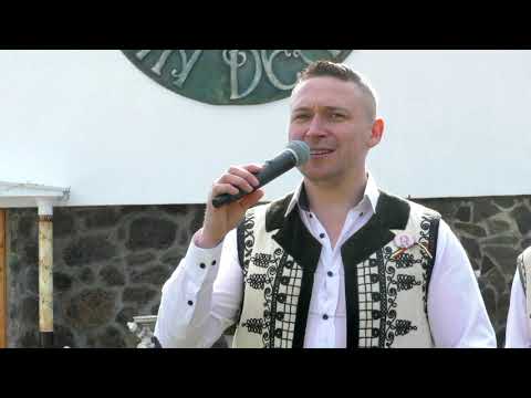 Catalin Stefan  - Formatia Alin Nistora  - TARINI -  LIVE
