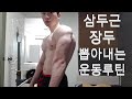 전성기몸복귀 프로젝트 41일차 삼두운동 삼두근 장두 뽑아내는 운동루틴