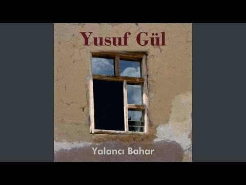 Video Yükleniyor...
