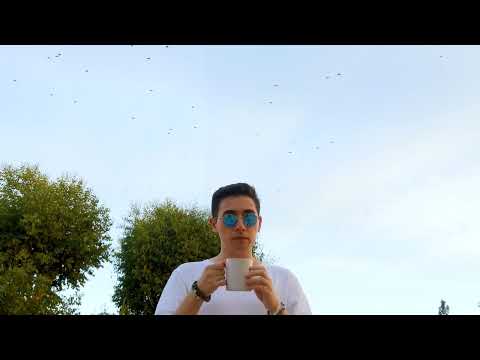 Matt Mems - Don't Lie (Visualizer)