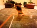 Ava Eat Pizza Box