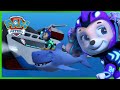 Aqua Pups And Sea Creatures Team Up To Save The Whale Patroller PAW Patrol Cartoons For Kids