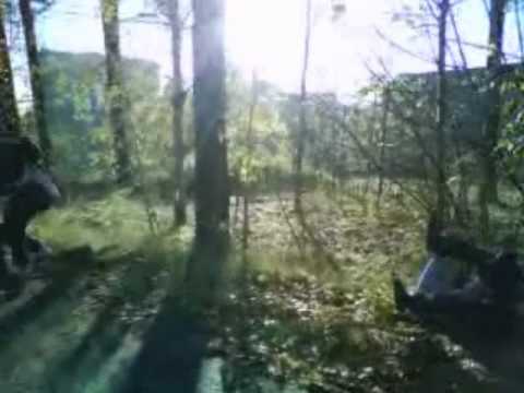 Gangstaz VS. Wangstaz Streetfight @ sofielund