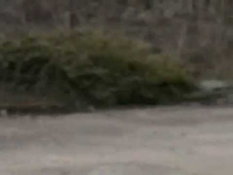 Frustration Level High - Nu Clear War