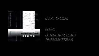 Brume / Wurzelbewußtsein - Le Trou Dans L'Eau / Traumbeisetzung [Full Cassette Rip]